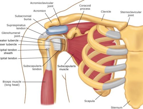 Shoulder Pain at Night