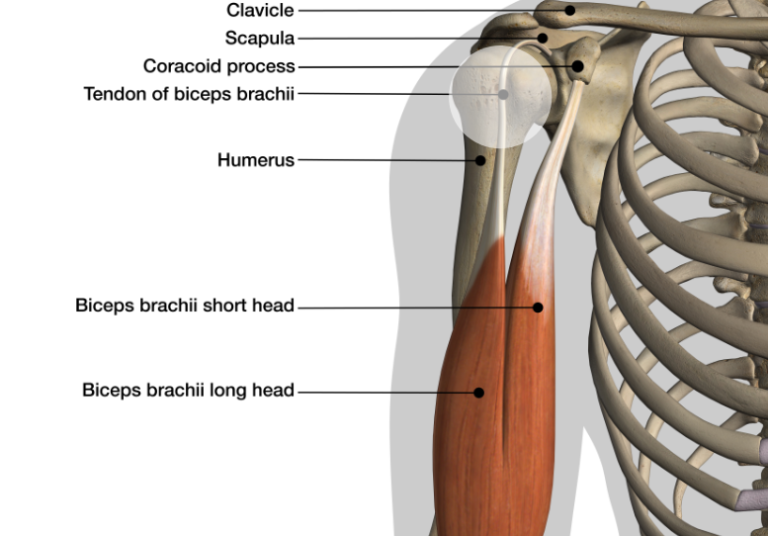 Does Your Shoulder Click, Pop, Catch or Snap?