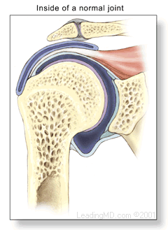 Shoulder Pain Symptoms
