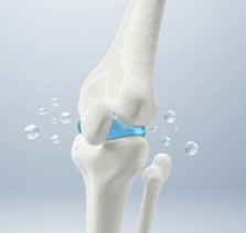 Shoulder Pain Symptoms