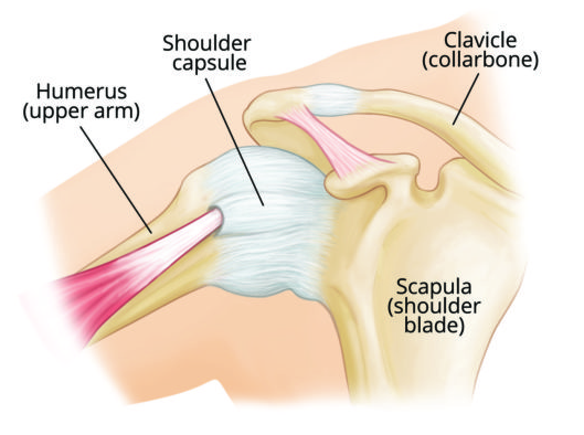 Arthroscopic Capsular Release